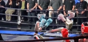 Unique kick-boxing match in Hangzhou